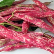 Shelling Bean & Spinach Pilaf