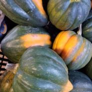 Creamy Squash Lasagna with Fresh Salad