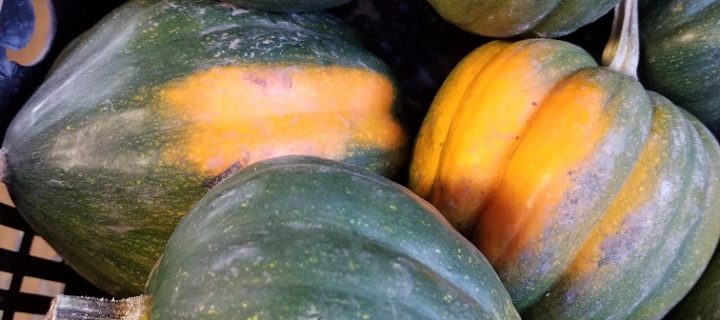 Roasted Squash and Bacon Hash