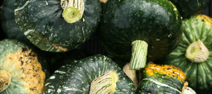 Creamy Buttercup Squash Soup