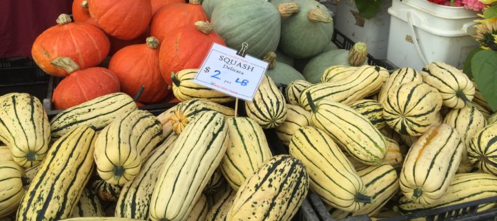 Delicata Squash & Gorgonzola Pizza