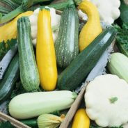 Summer Squash Soup with Cured Strawberries