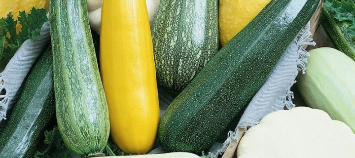 Summer Squash Soup with Cured Strawberries