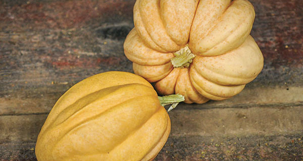 Roasted Corn Pudding in Squash Puree