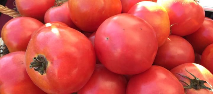 Tomato-Lentil Salad