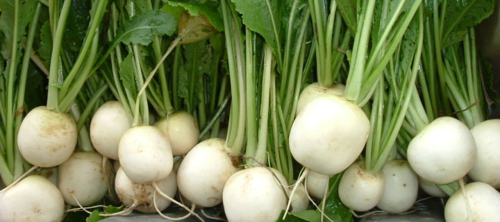 Roasted Beans, Carrots and Turnips