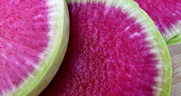 Watermelon Radish with Rosemary Brown Butter