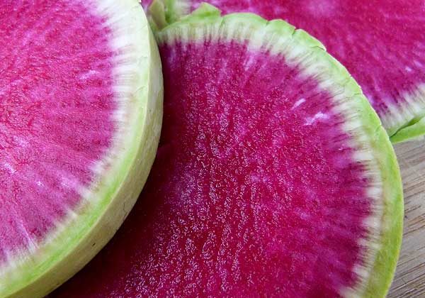Watermelon Radish with Rosemary Brown Butter