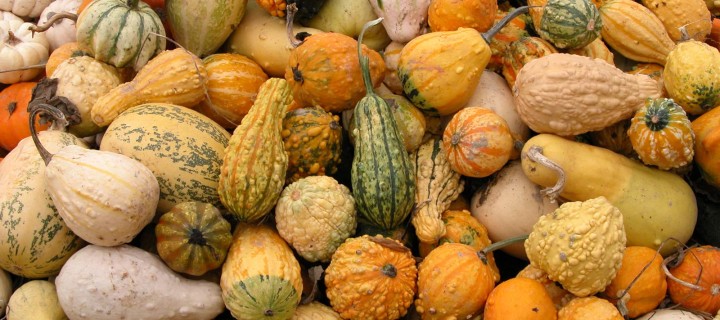 Green Coconut Curry and Squash Soup